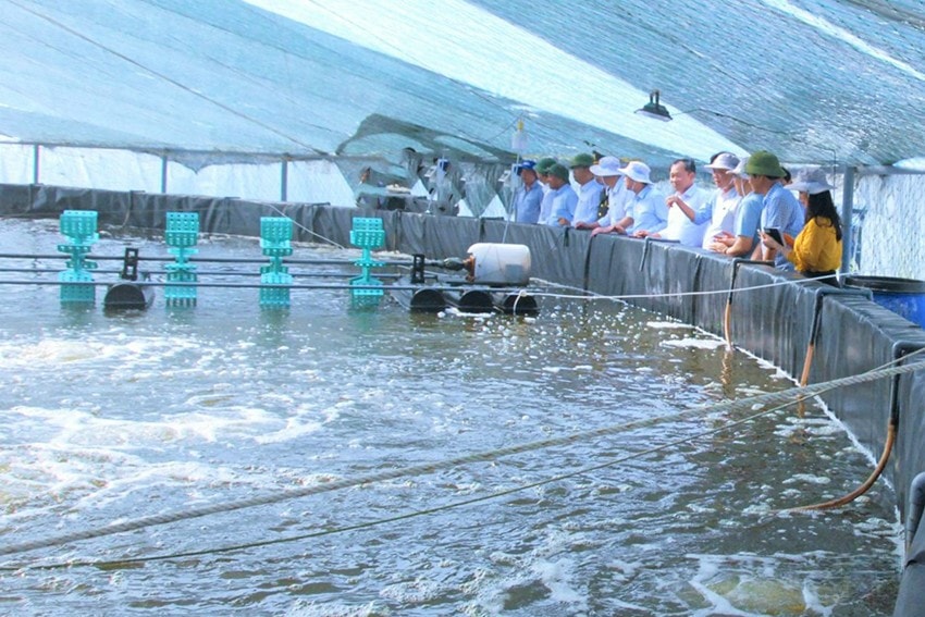 nuôi tôm công nghệ cao