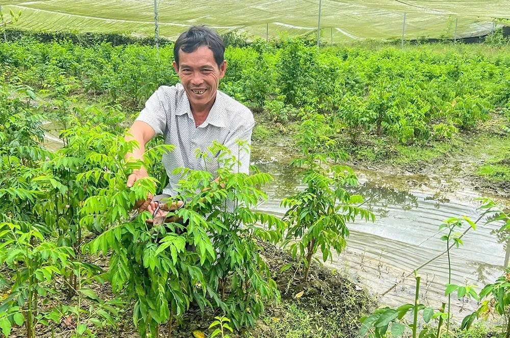 Anh Nguyễn Văn Bảy