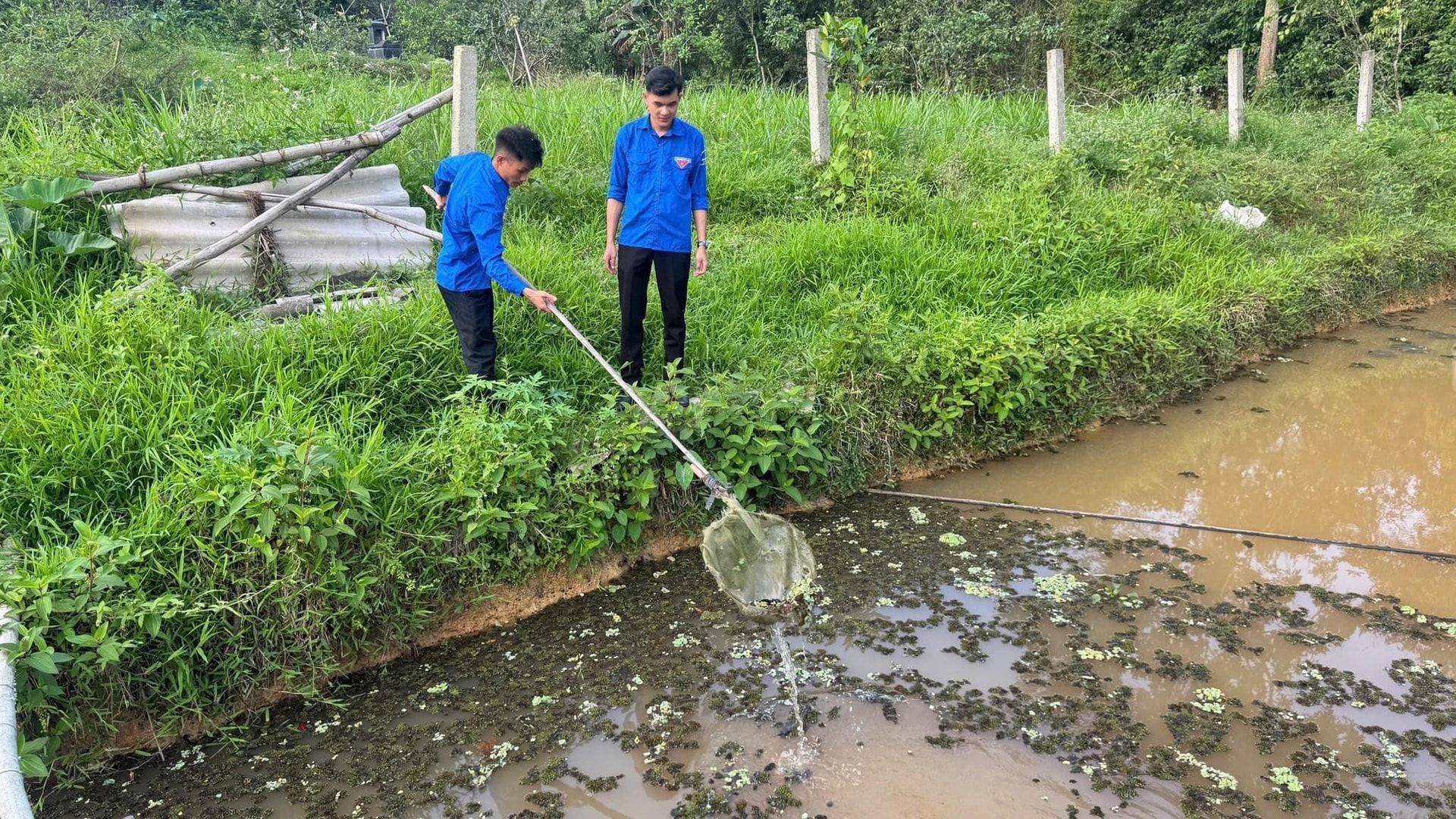 Ao nuôi ốc nhà anh Hiếu