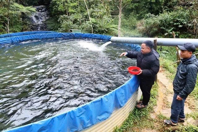 Một bể nuôi cá nhà anh Long