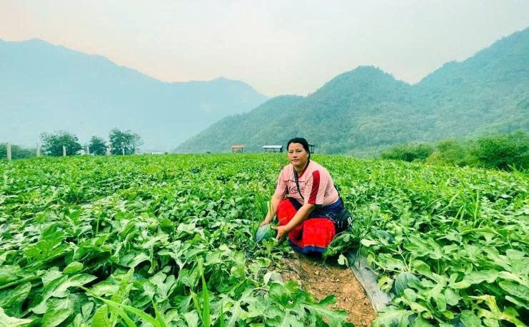 Nhiều nông dân vùng biên Thanh Hóa đang tập trung trồng dưa hấu
