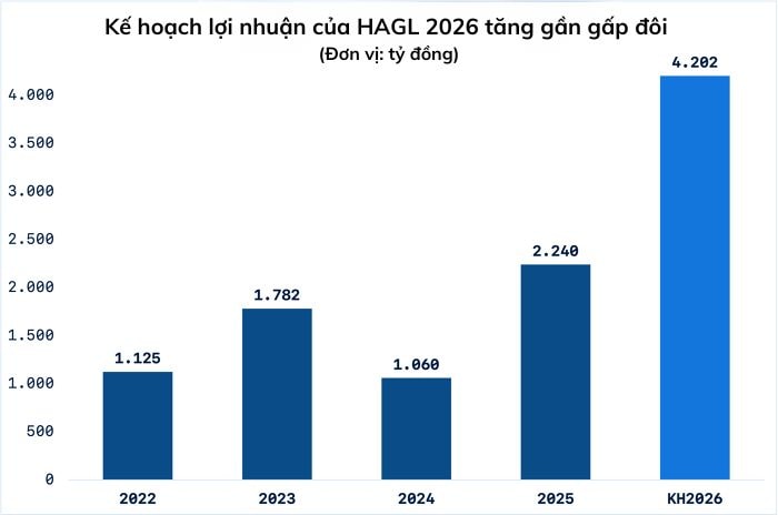 Kế hoạch lợi nhuận của HAGL 2026 tăng gần gấp đôi (Đơn vị tỷ đồng)