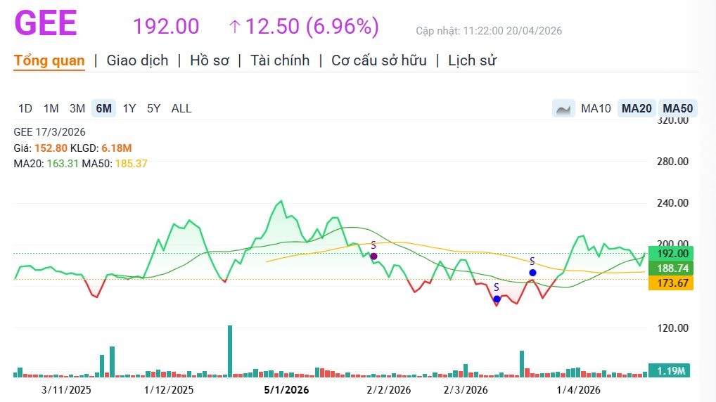 GEE cổ phiếu