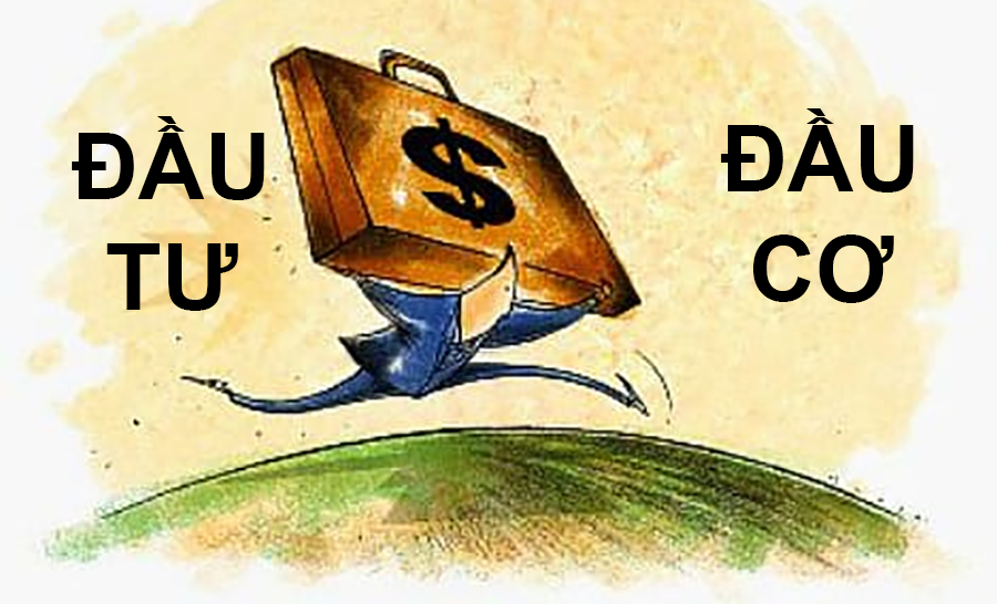 đầu tư và đầu cơ