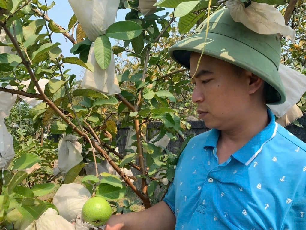 Nông dân Nguyễn Văn Thành (1)