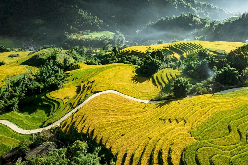 Tả Van