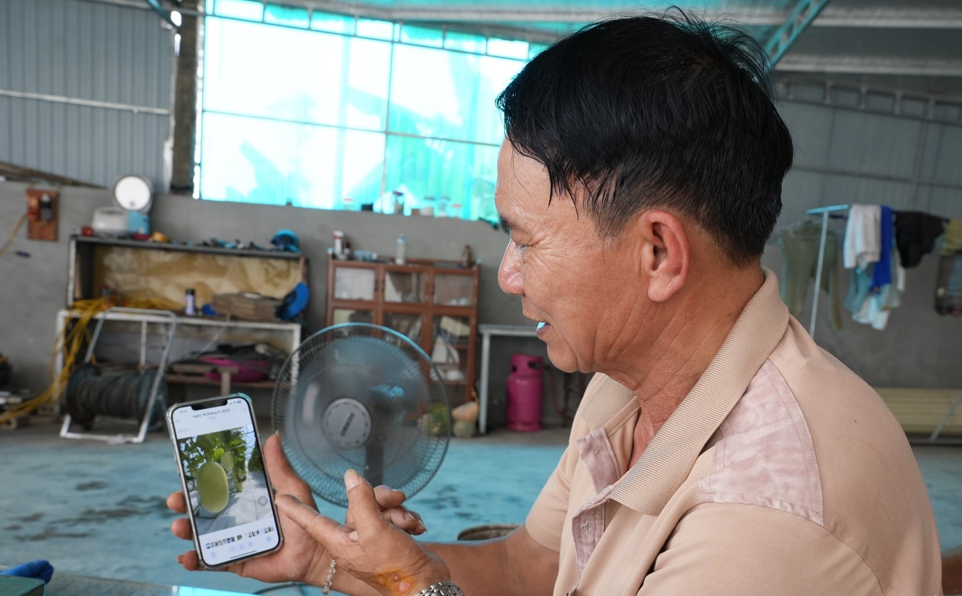 Nông dân giới thiệu về hình ảnh dưa được chụp