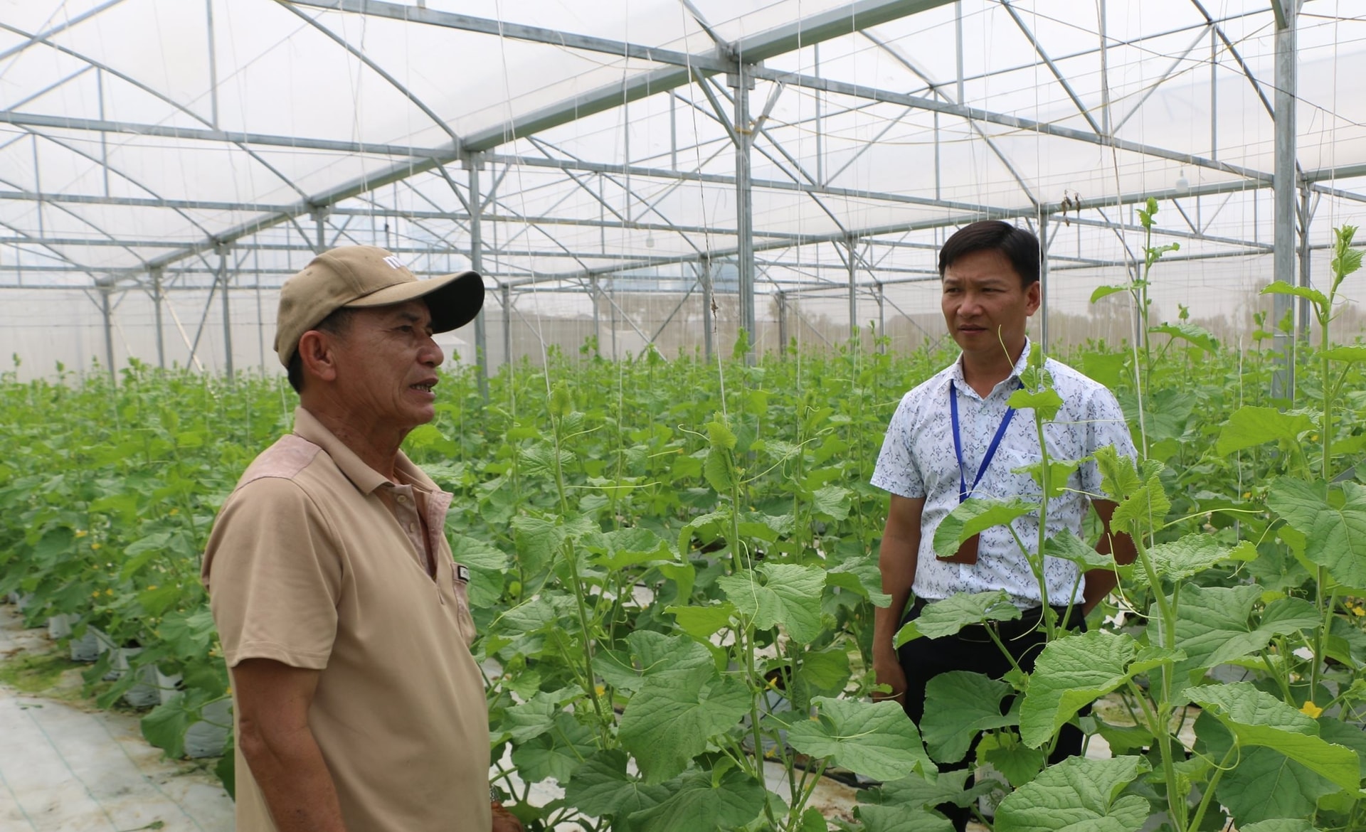 Nông dân trao đổi với cán bộ xã Đông Lộc về mô hình dưa lưới