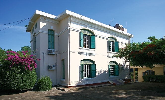 cau da