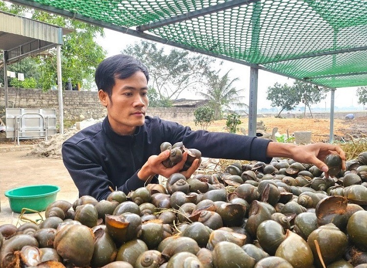 duy.jpg