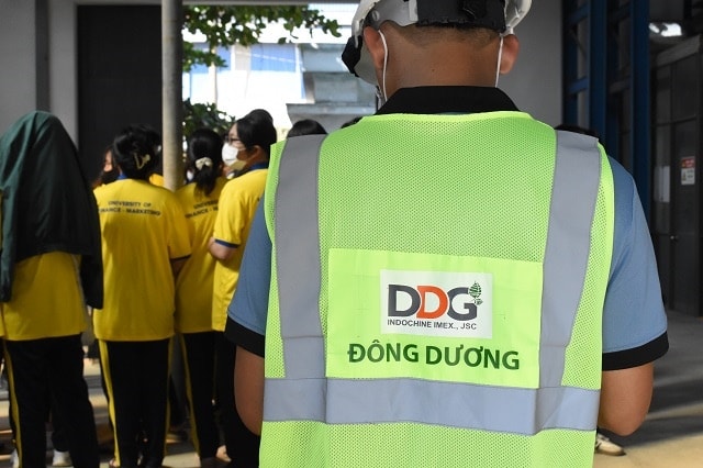 ddg3.jpg