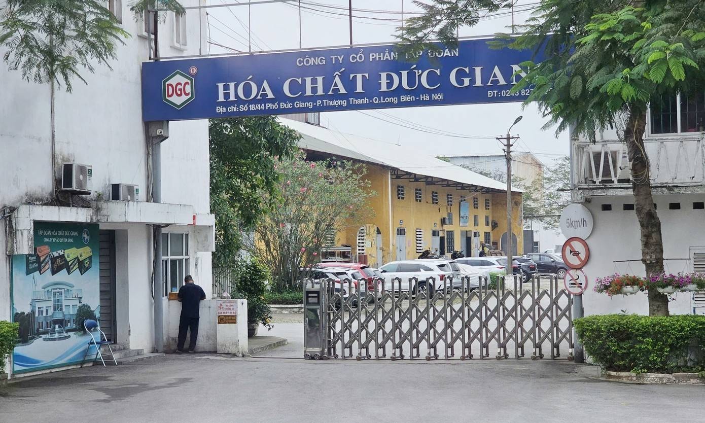 dgc15.jpg