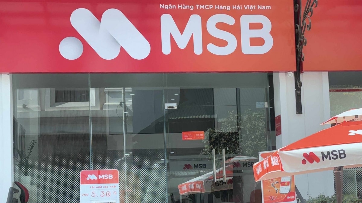 msb23.jpg