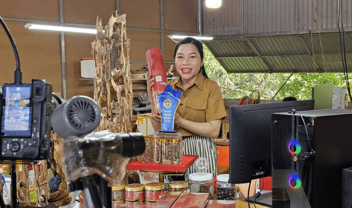 dnsme quảng tri