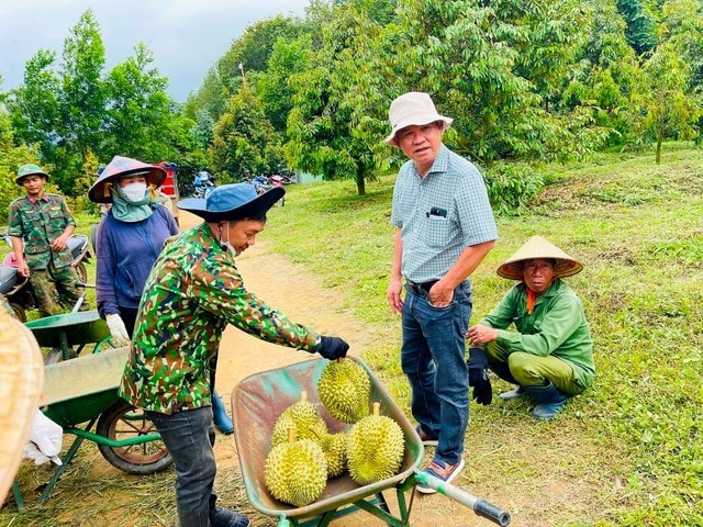 bầu Đức