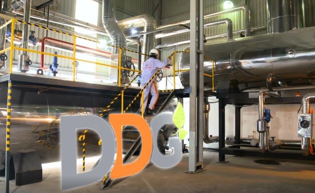 ddg4.jpg