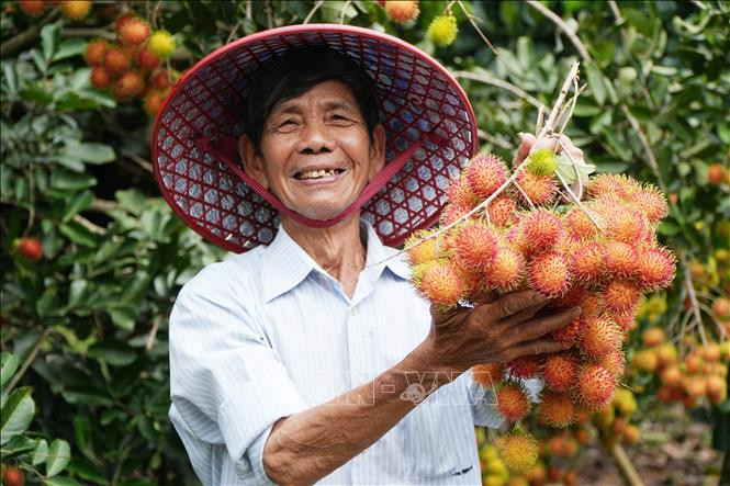 nông dân Đồng Nai làm du lịch