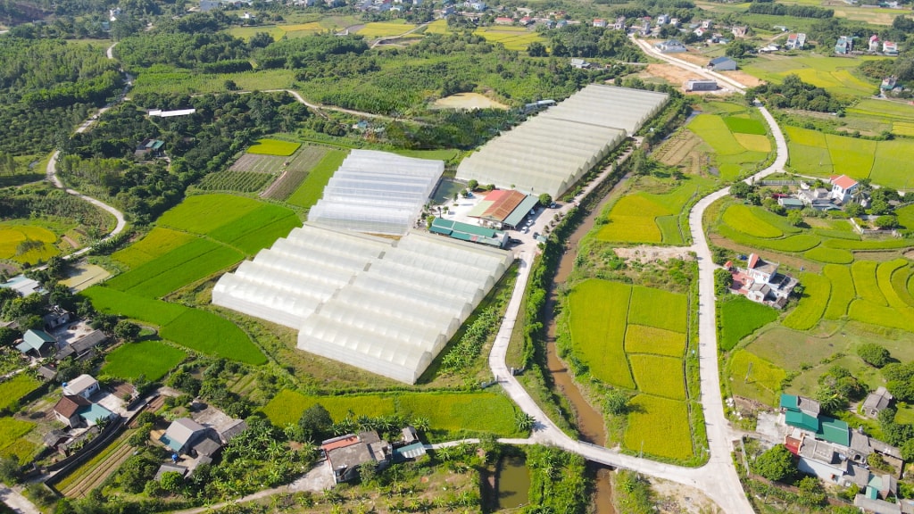 Xã Quảng Tân, Quảng Ninh