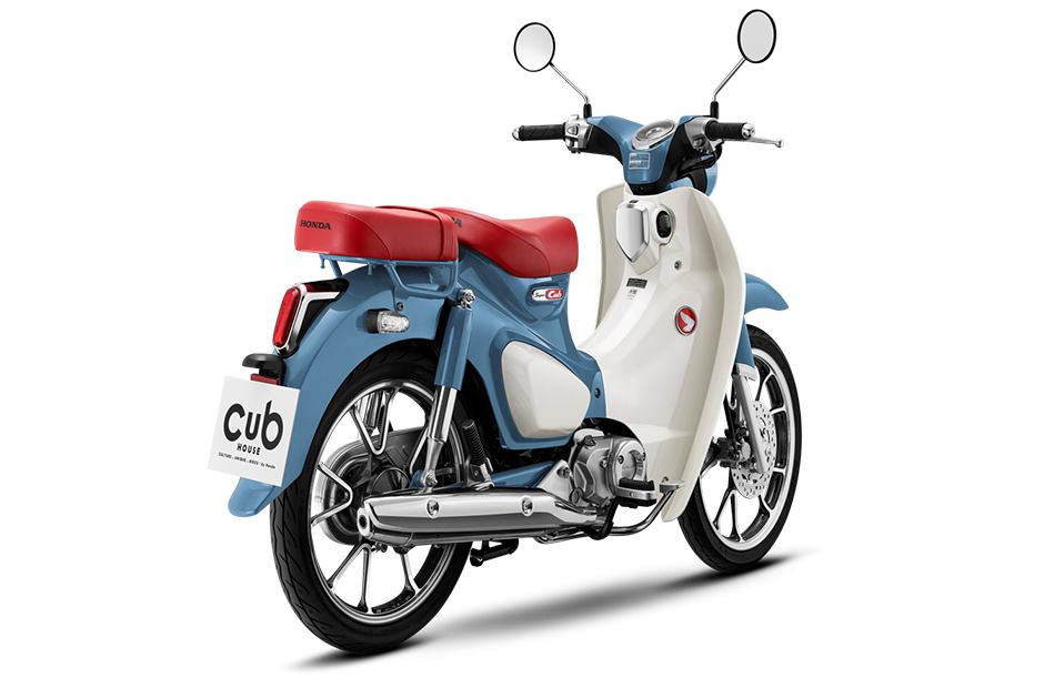 cub2.png