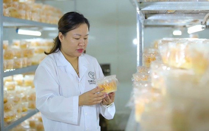 Trần THỊ Hồng