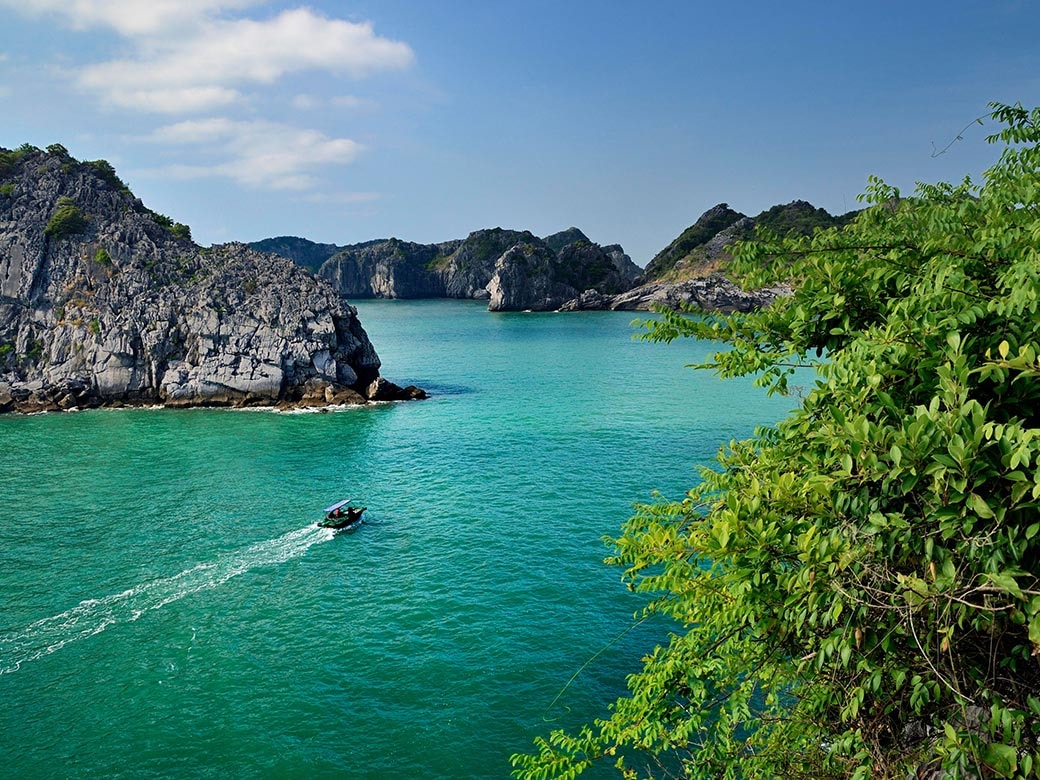 Vịnh Lan Hạ