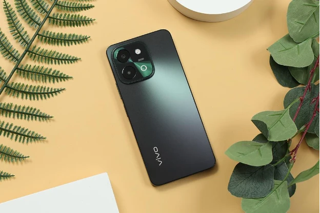 vivo2.webp