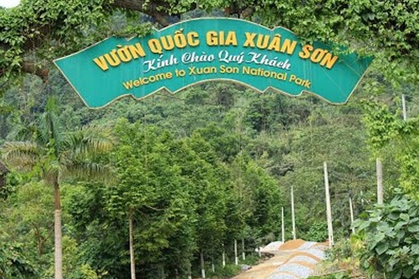 Xuân Sơn