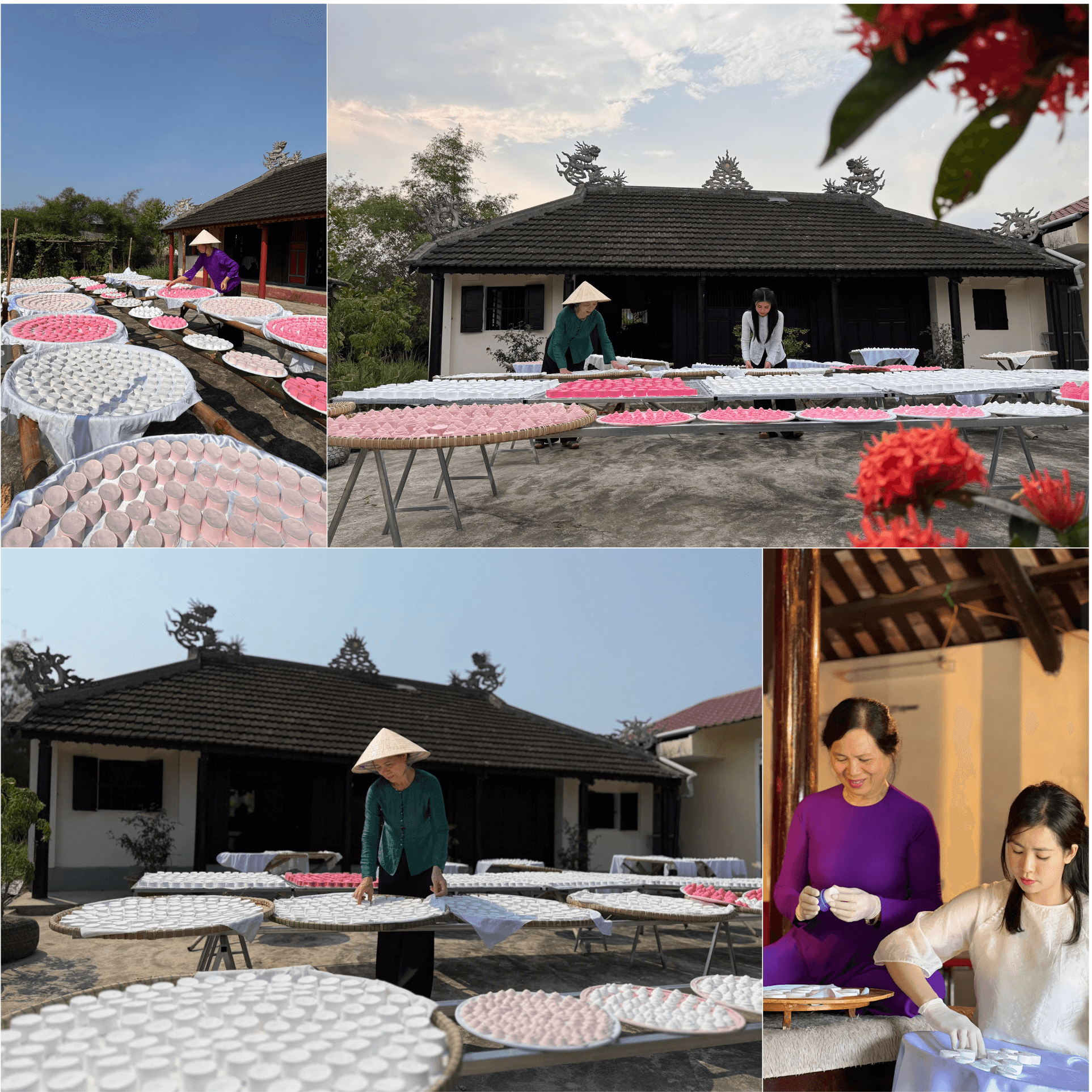 beautyplus-collage-2026-06-29t05_36_14.png