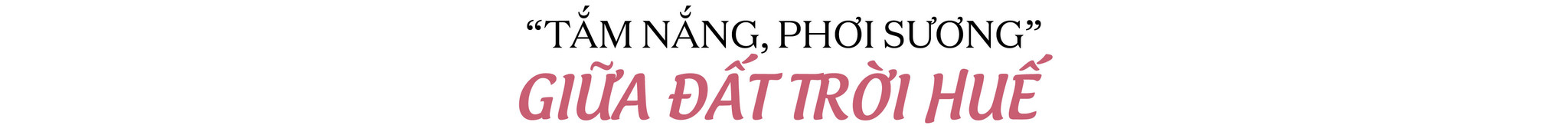 tit 2 web