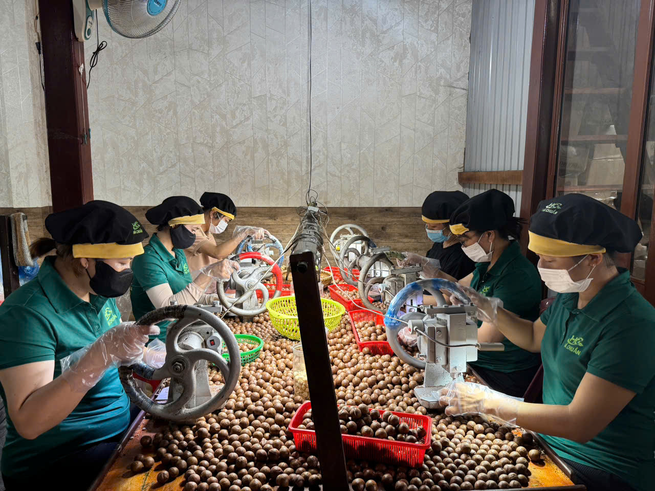 công đoạn trẻ hạt maca tại hà chuẩn