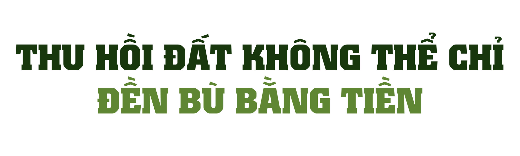 trong-05.jpg