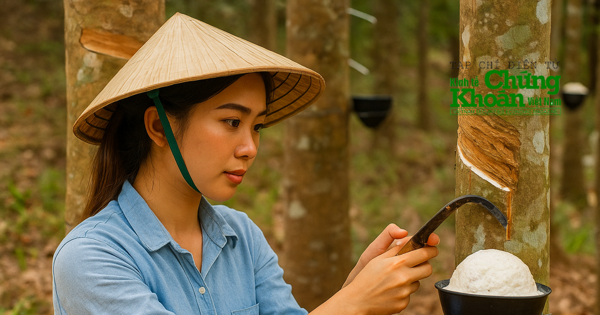 Lãi lớn, giữ đất chờ thời, câu chuyện chuyển mình của một doanh nghiệp cao su