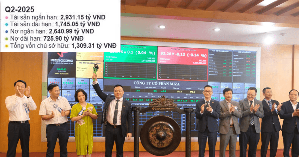 “Hiện tượng UPCoM” Miza (MZG) và lý do đằng sau áp lực nợ vay cao gấp ...