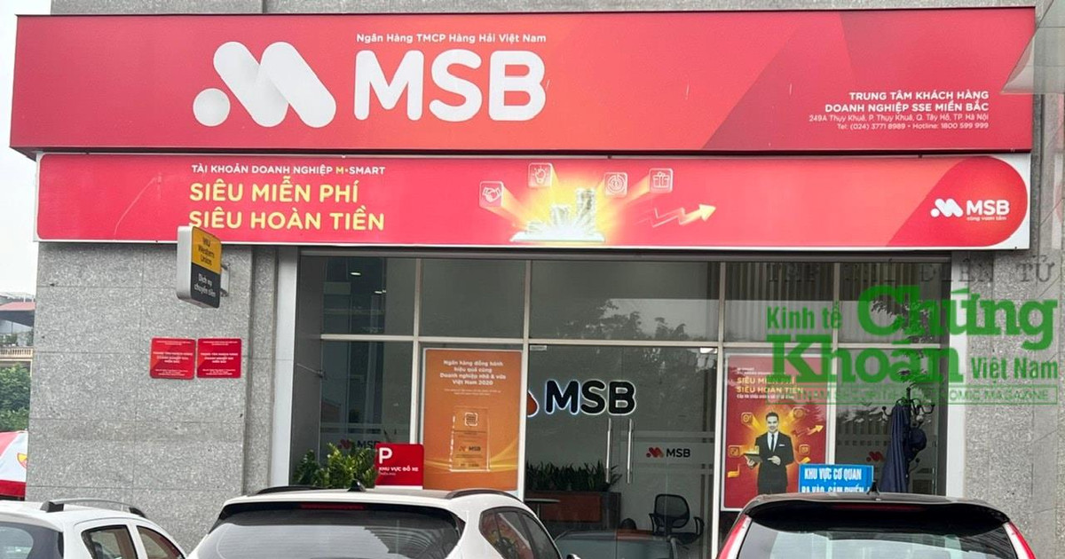 Mối quan hệ ít được nhắc tới giữa ngân hàng MSB và ROX Group