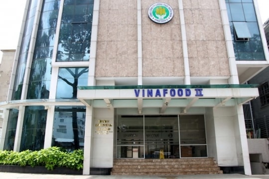 Kiểm toán Nhà nước: Nhiều sai phạm của VSF khi cổ phần hóa