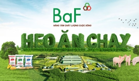 BAF:  Chào bán ra công chúng 3 triệu trái phiếu