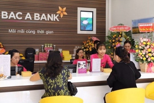 BacABank: Cho khách hàng là họ “TH” vay khi âm vốn chủ sở hữu, không có tài sản bảo đảm