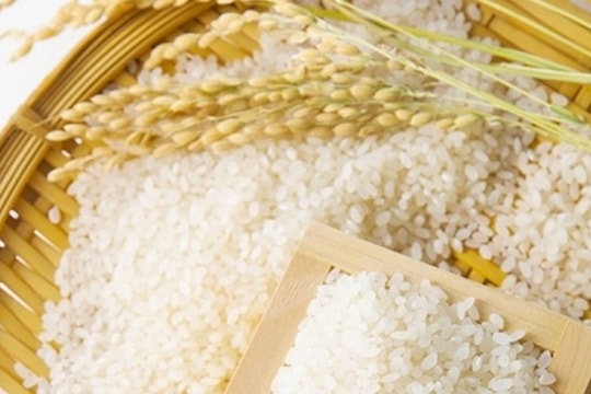 Giá lúa gạo hôm nay ngày 17/7/2023: Giá ổn định, thị trường sôi động phiên đầu tuần