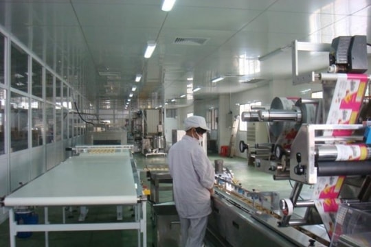 HNF: Lợi nhuận gộp trong quý giảm 6%
