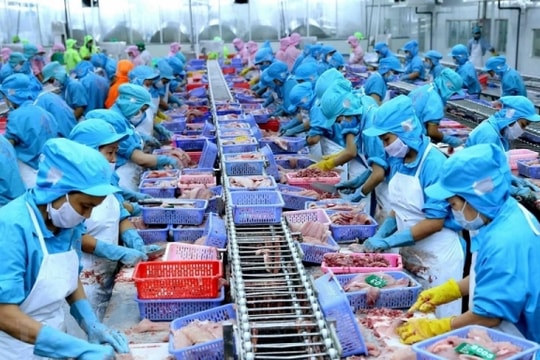 Gói tín dụng hỗ trợ lâm, thuỷ sản: “Giải quyết đầu ra cho sản phẩm thì gói tín dụng  mới phát huy hiệu quả”