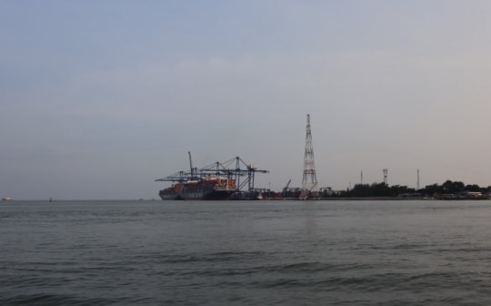 Giá xăng dầu hôm nay ngày 20/7/2023: Giá dầu Brent vượt mức 80 USD/thùng
