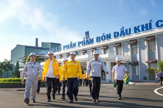 Lợi nhuận Đạm Cà Mau được dự báo sẽ tăng trưởng vào năm 2024