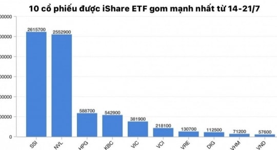 Quỹ iShares ETF mua hơn 2,5 triệu cổ phiếu Novaland (NVL)