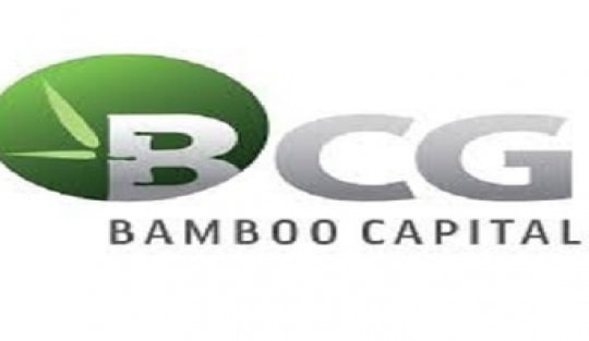 Kinh doanh hồi phục, Bamboo Capital (BCG) ghi nhận lợi nhuận sau thuế hơn 160 tỷ đồng, cổ phiếu lấy lại sắc tím