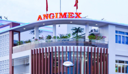 Cổ phiếu tăng gấp đôi chỉ trong 11 phiên, Angimex giải trình thế nào?