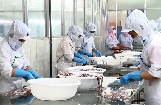 Điểm tên Top 10 thị trường nhập khẩu mực, bạch tuộc lớn nhất của Việt Nam
