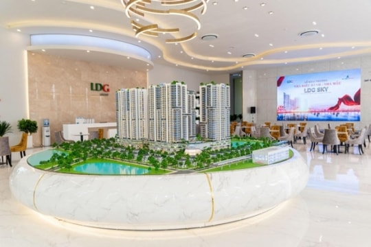 Sau lùm xùm Chủ tịch bán chui cổ phiếu, LDG bổ nhiệm ba Phó Tổng Giám đốc mới