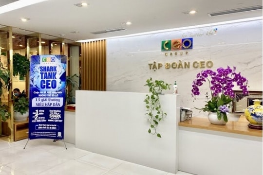 CEO Group: Lãi ròng "bốc hơi" 15% sau soát xét, lộ diện nhân tố nhận cổ tức chục tỷ
