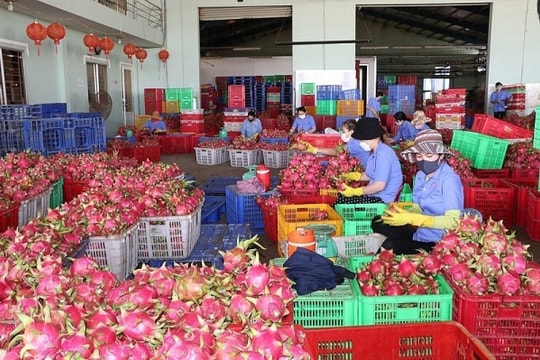 Kim ngạch xuất nhập khẩu Việt Nam - Trung Quốc vượt ngưỡng 100 tỷ USD sau 8 tháng