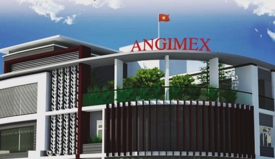 Cổ phiếu AGM bị đình chỉ giao dịch